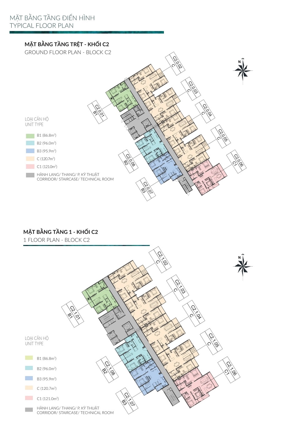 Mặt bằng khối C2