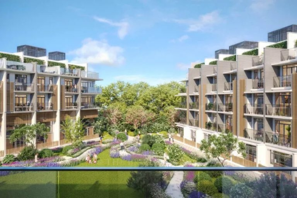 thiet ke The Classia