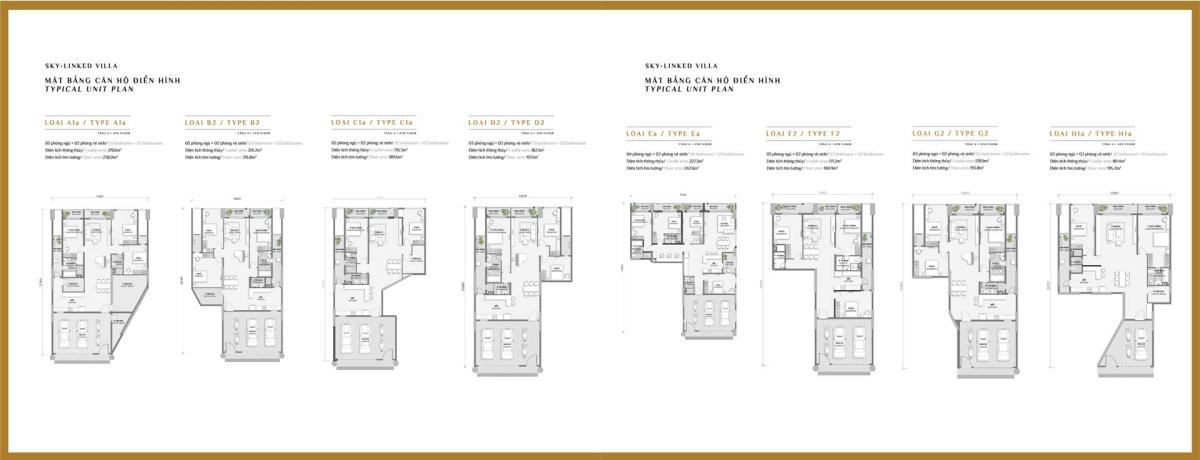 Mặt bằng căn điển hình D-fp