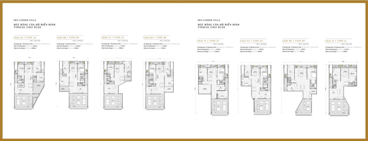 Mặt bằng căn điển hình D-fp