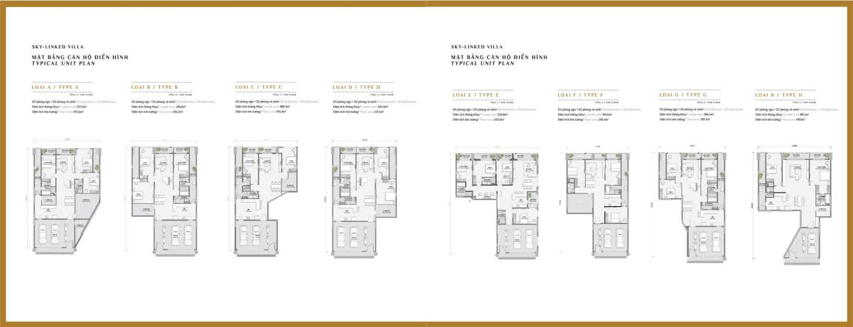 Mặt bằng căn điển hình D-fp